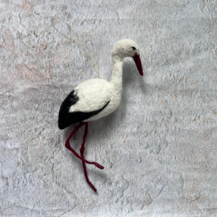 Storch