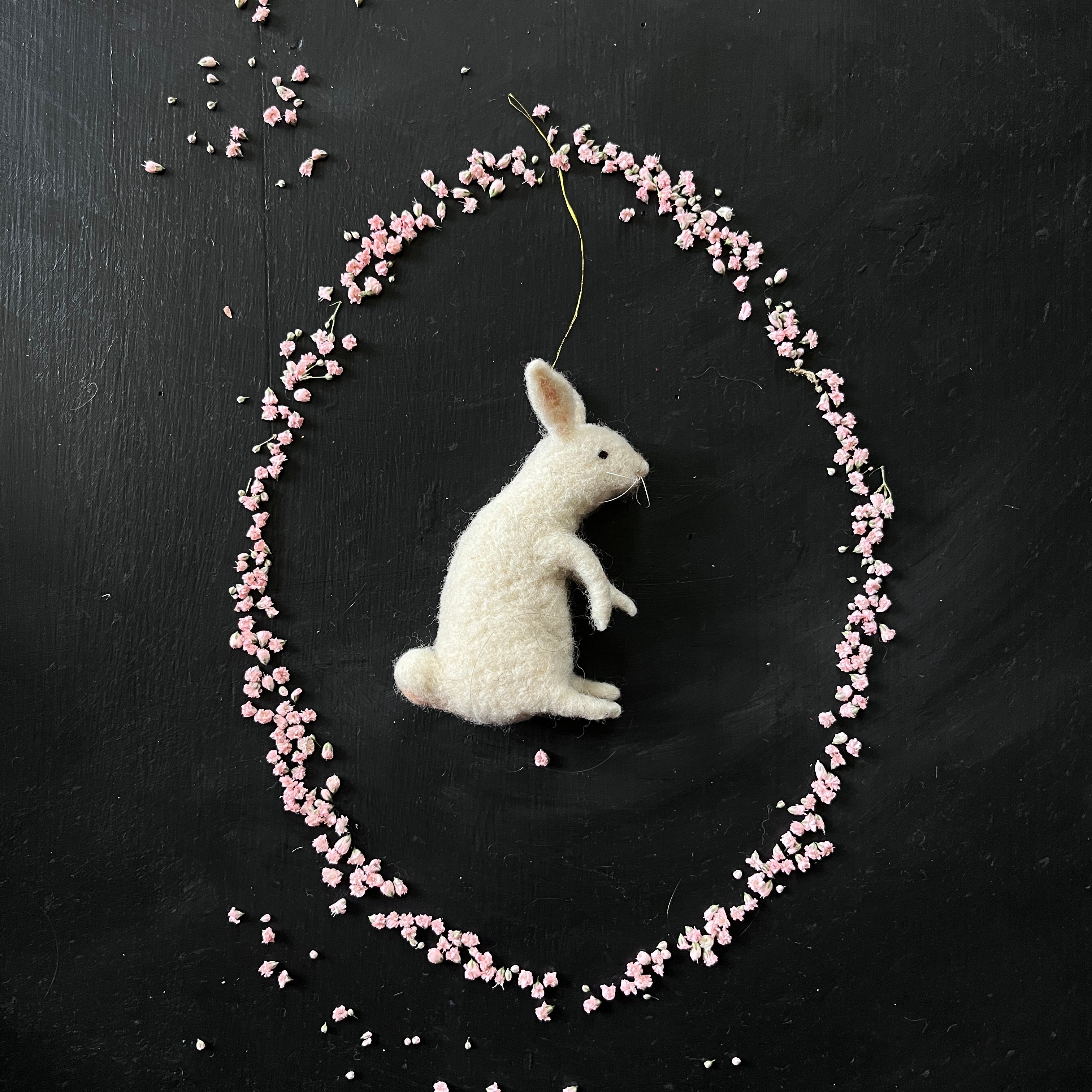 Weißer Hase