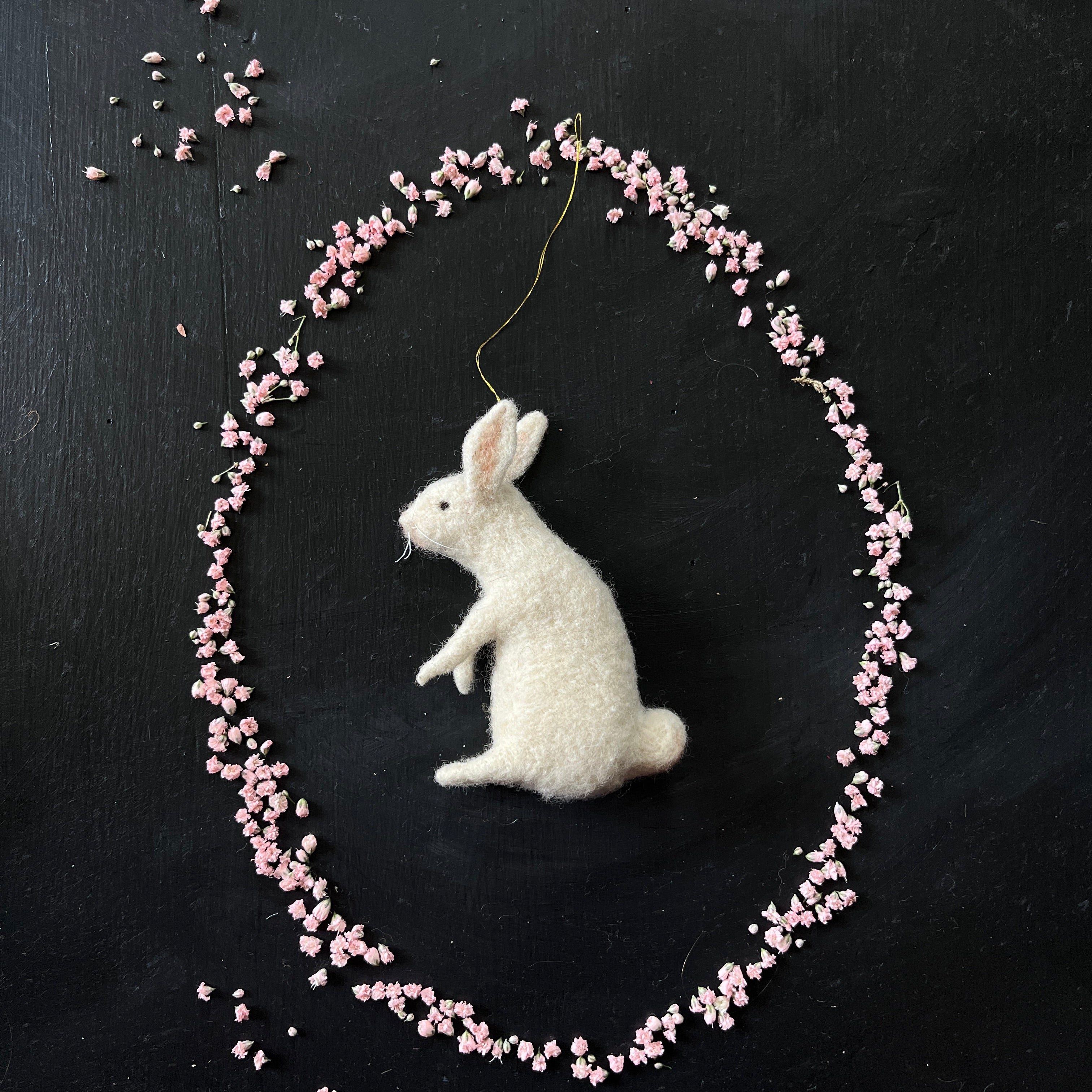 Weißer Hase