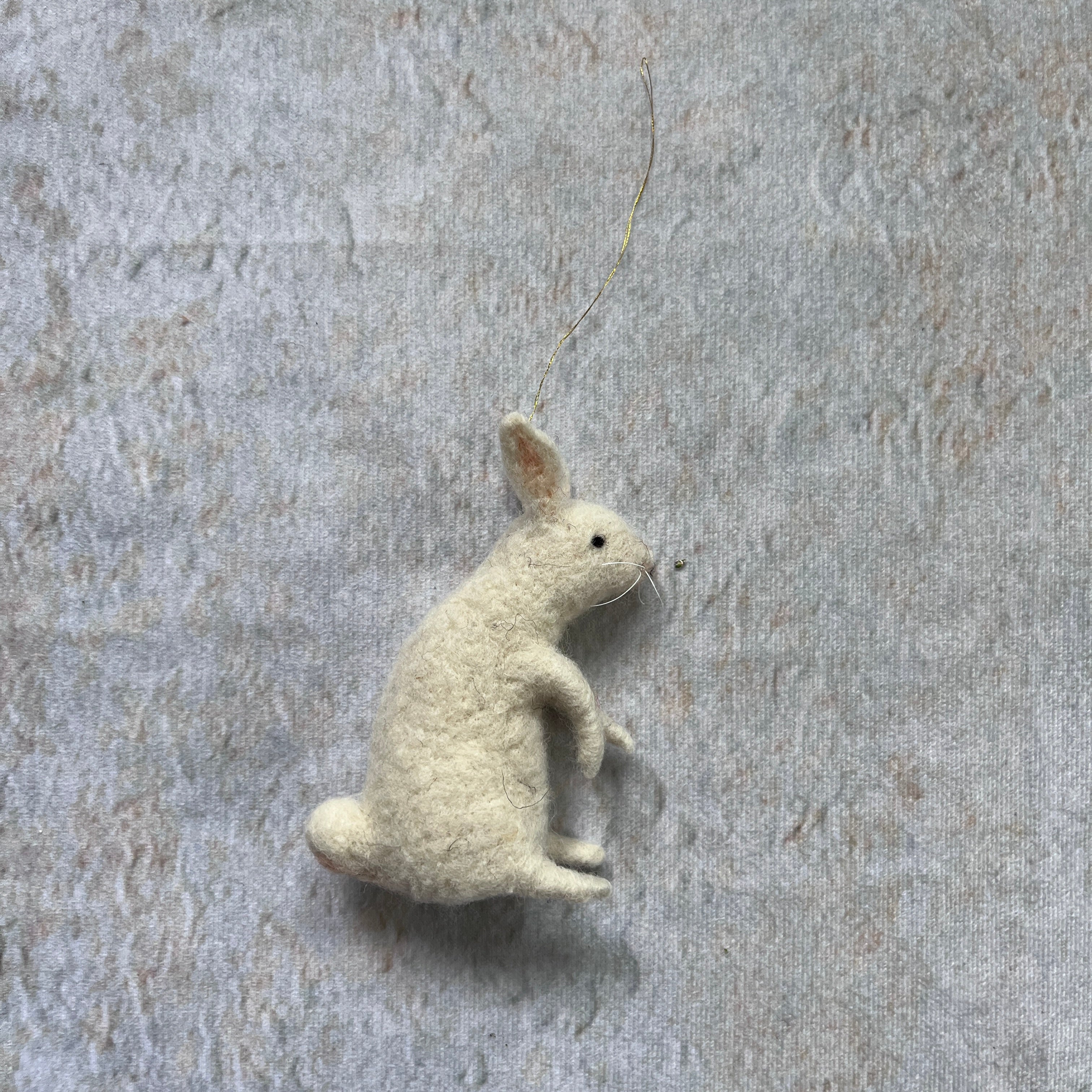 Weißer Hase