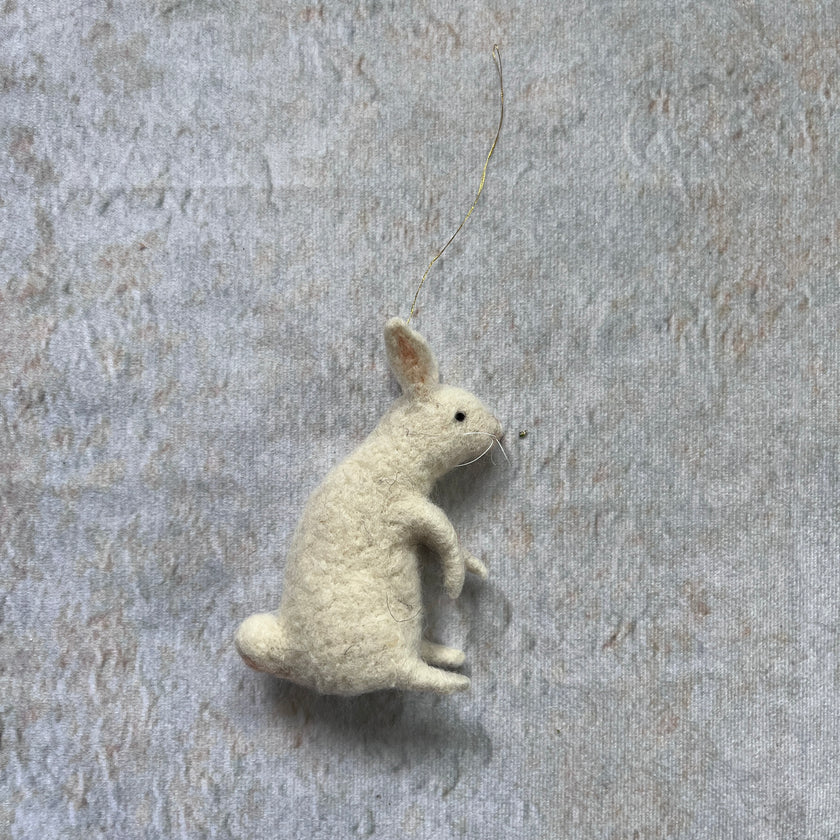 Weißer Hase