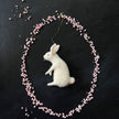 Weißer Hase