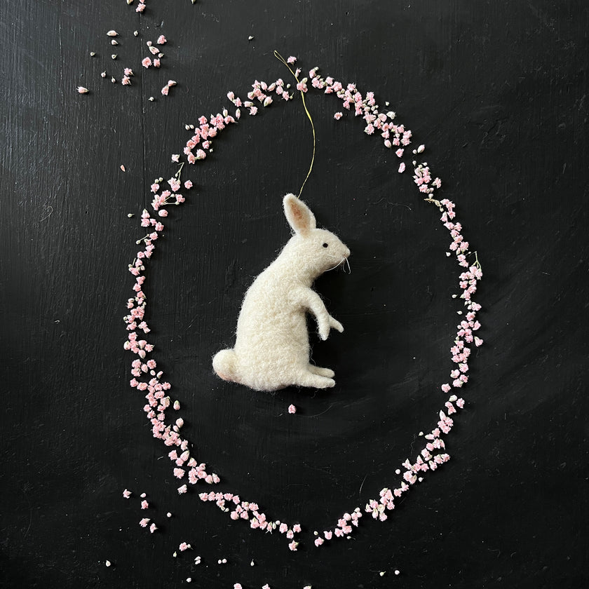 Weißer Hase