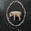 Wildschwein