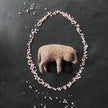 Wildschwein