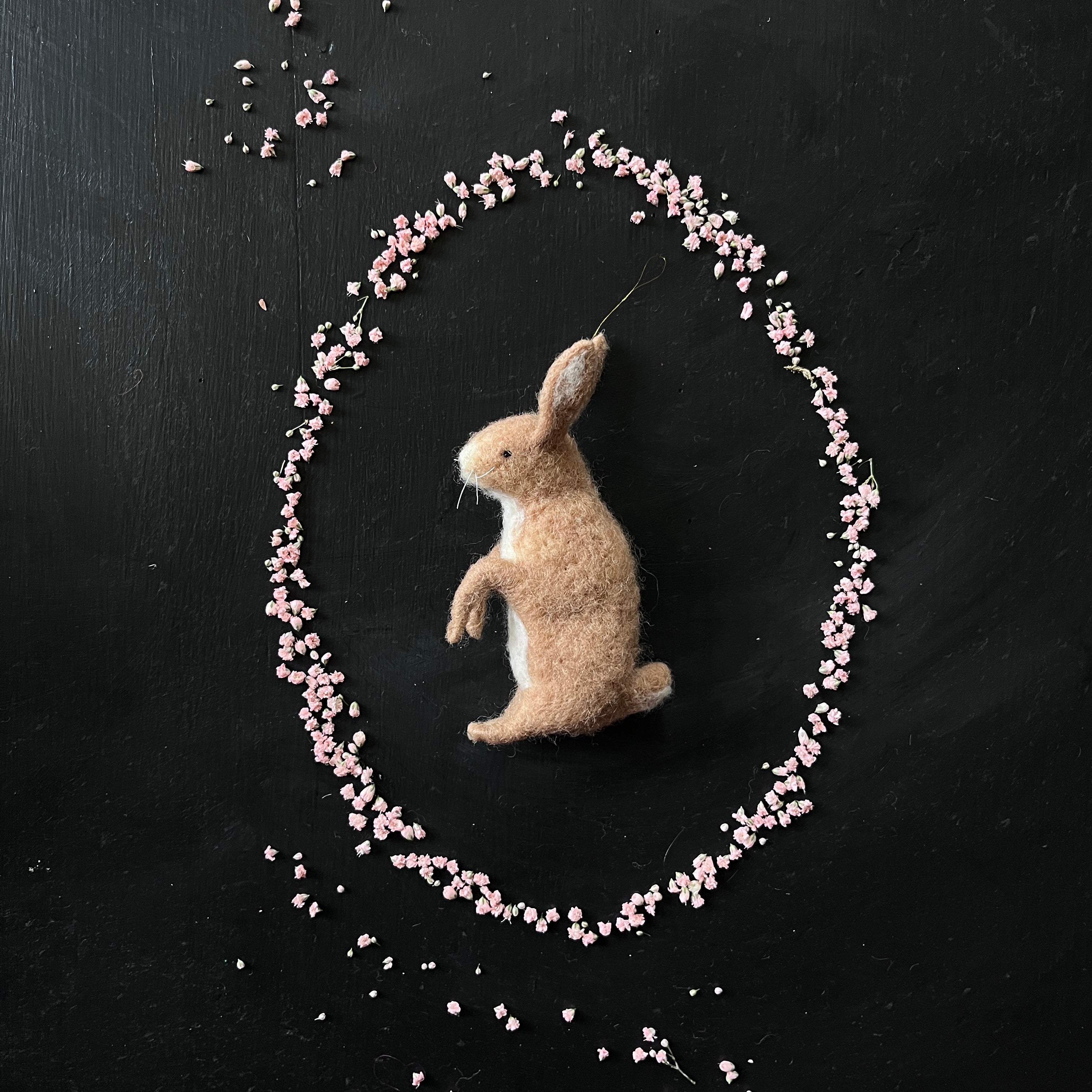 Brauner Hase