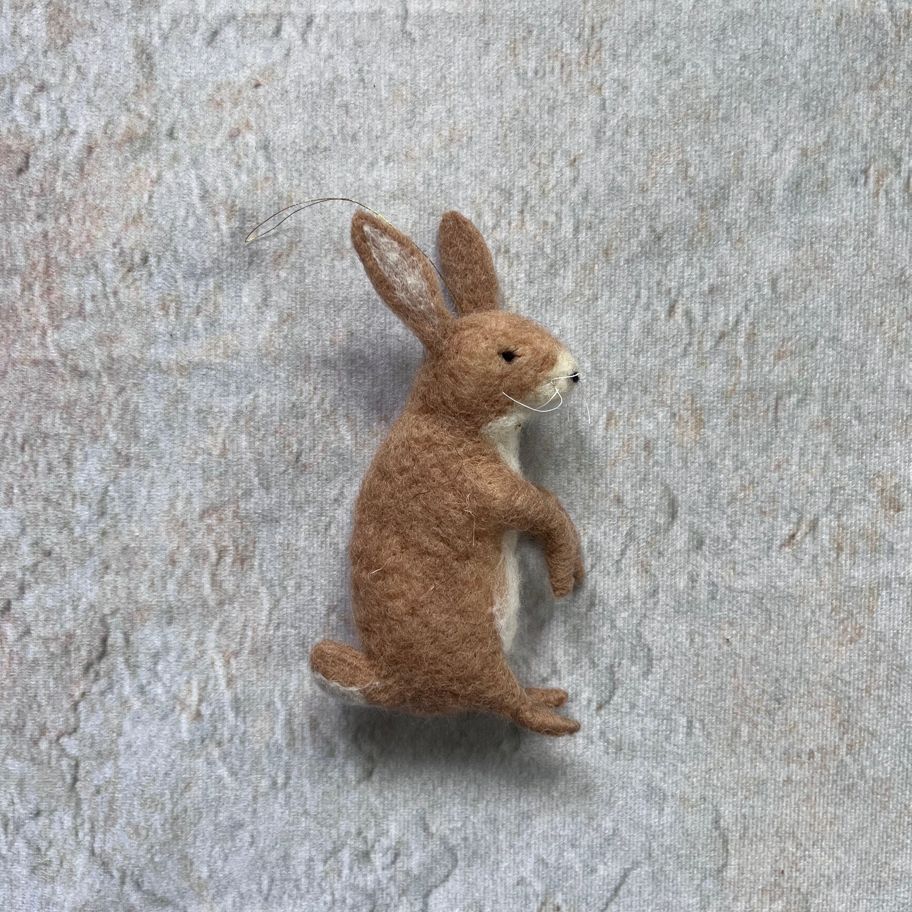 Brauner Hase