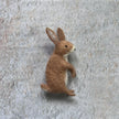 Brauner Hase