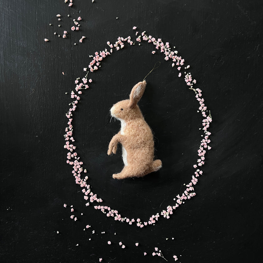 Brauner Hase