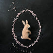 Brauner Hase