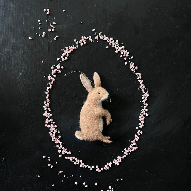 Brauner Hase