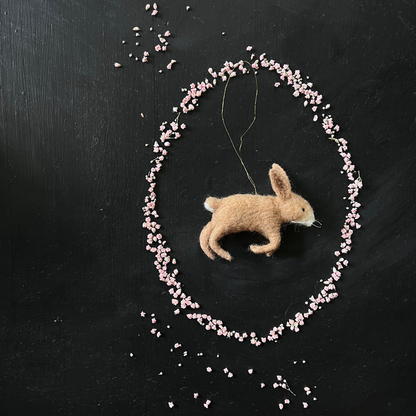 Springender Hase