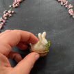 Weißer Hase in der Walnussschale